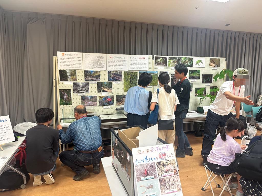 R7展示