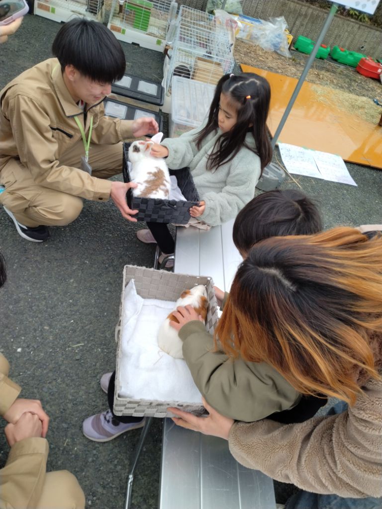 動物とのふれあいコーナー