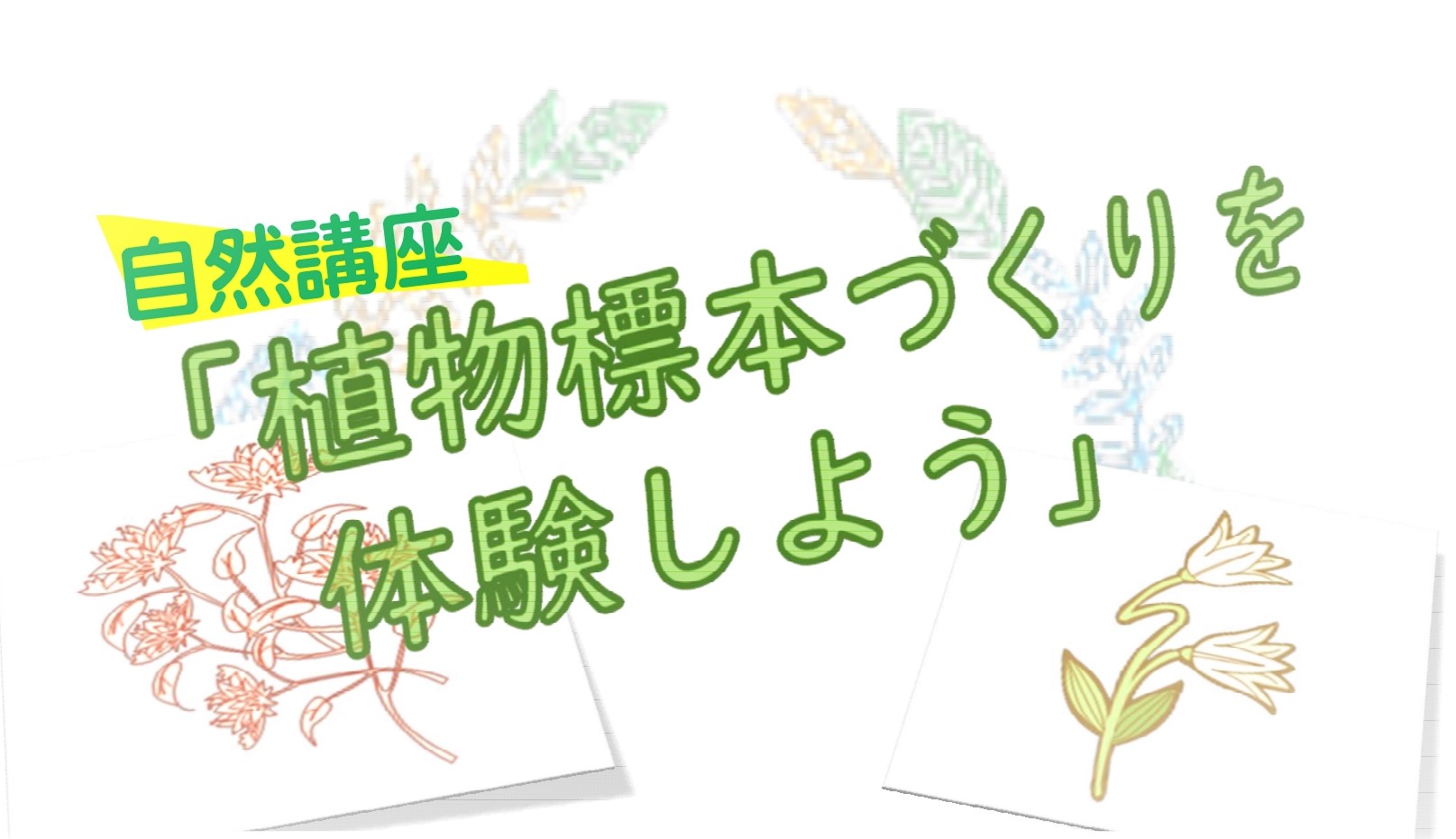 自然講座「植物標本づくりを体験しよう」タイトル画像