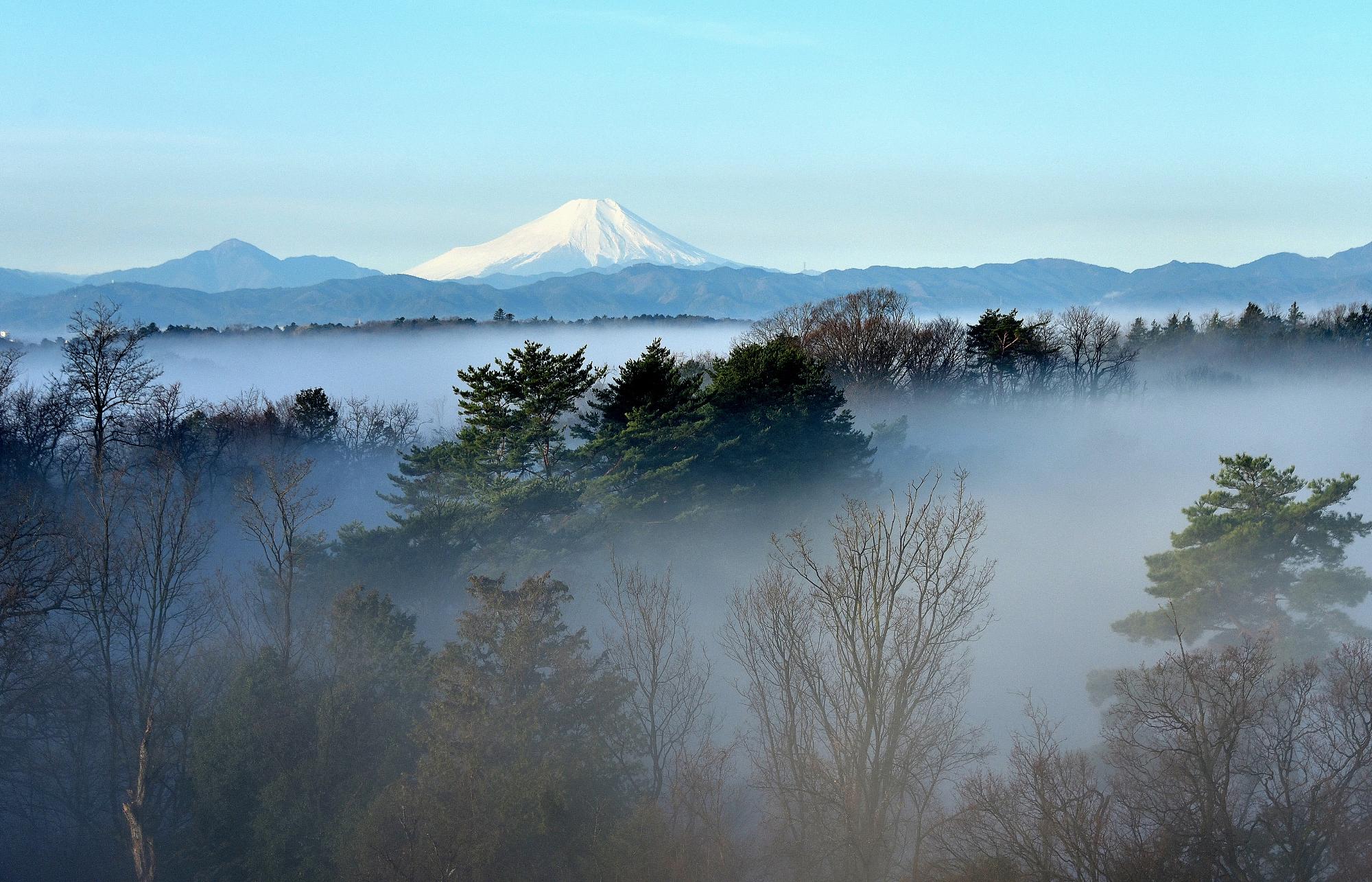 所沢市長賞「静寂な朝の始まり」