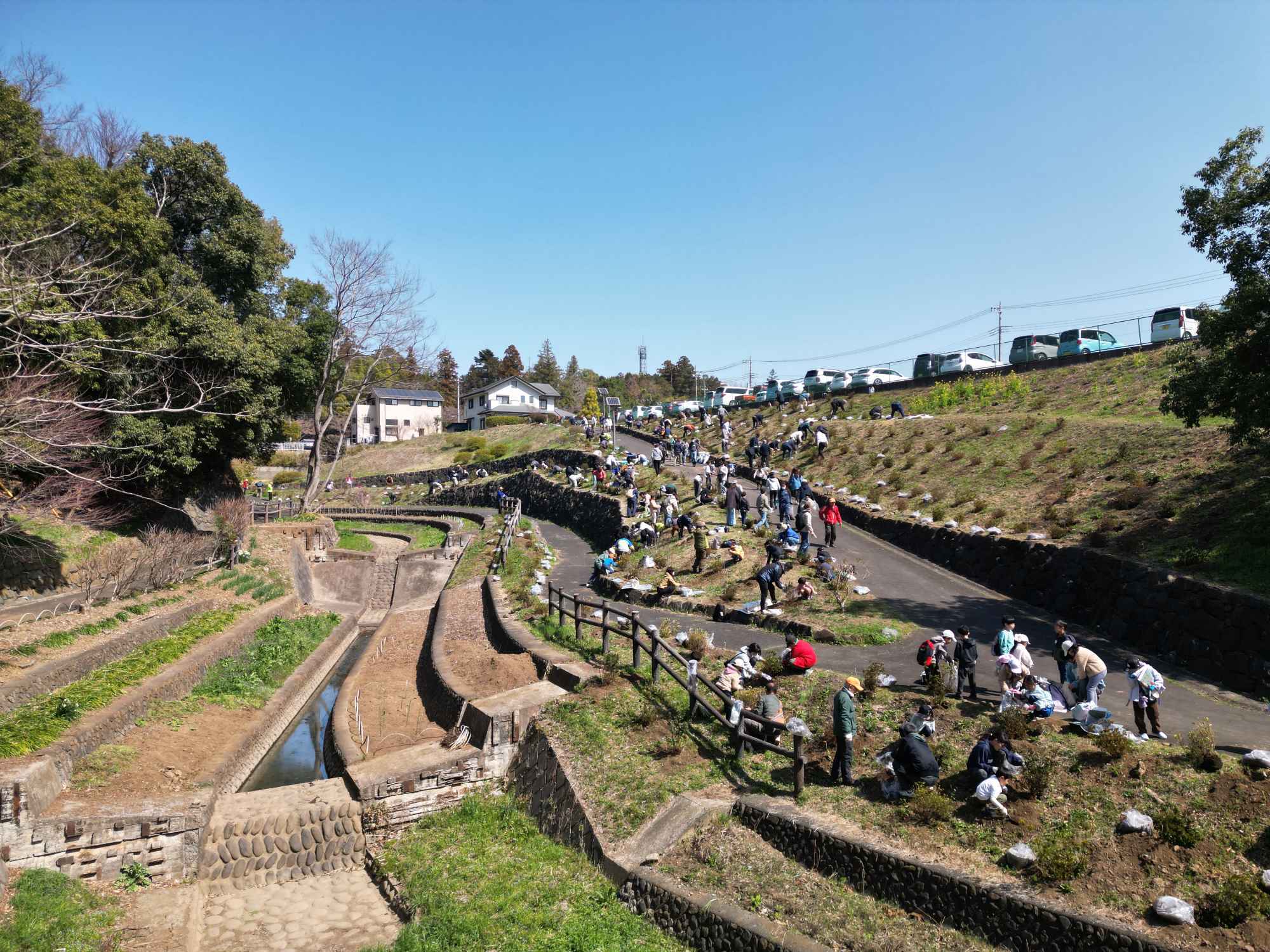天覧山つつじ花公園づくり植樹会の画像4