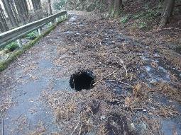 林道の中央に深い穴が開き、舗装の下が空洞になっている様子の写真