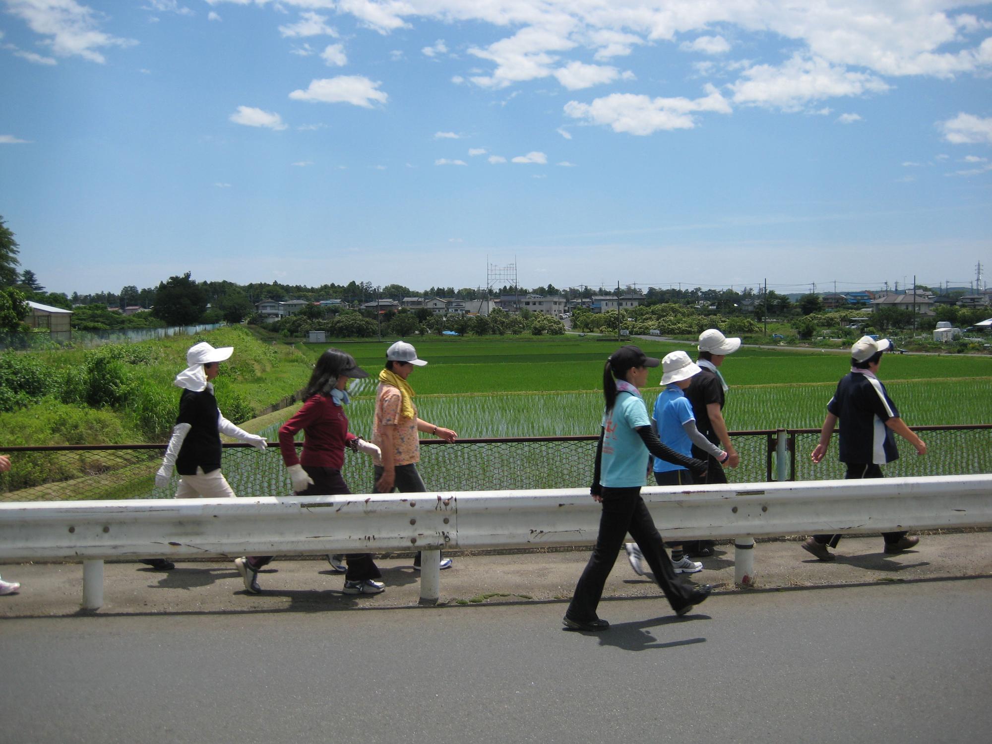 青空の下、緑豊かな田んぼ沿いをさっそうと歩くエクササイズウオーキングの参加者の写真
