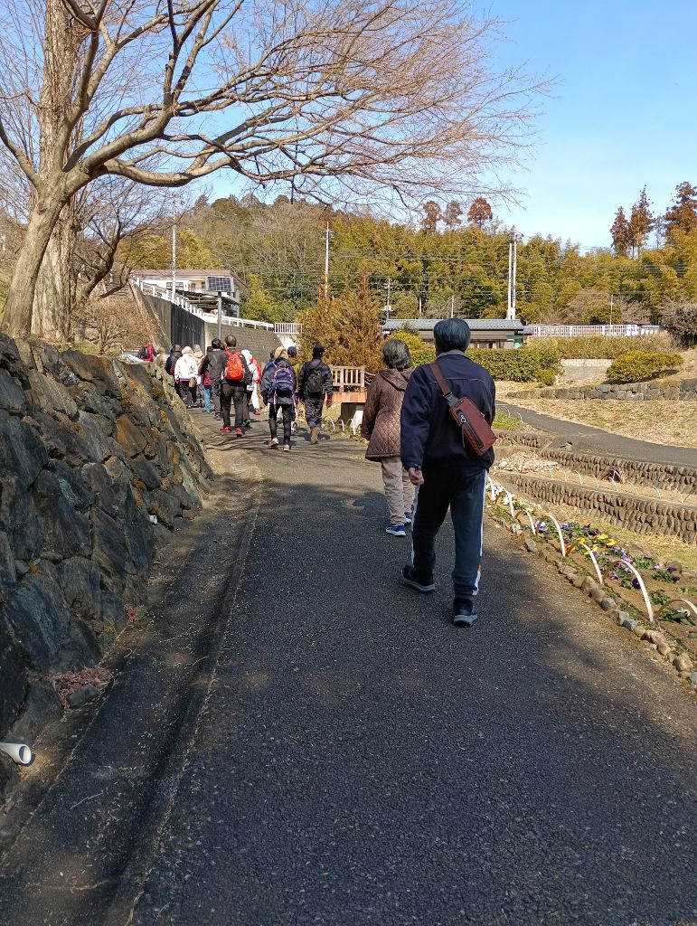 令和6年度の講座の様子です。天覧山が見える景色の中を20人ほどの参加者がウオーキングしています。