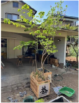 横瀬町視察