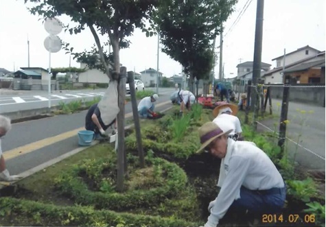 ボランティアの方々が、道路脇の植栽の周りを綺麗にしている様子の写真