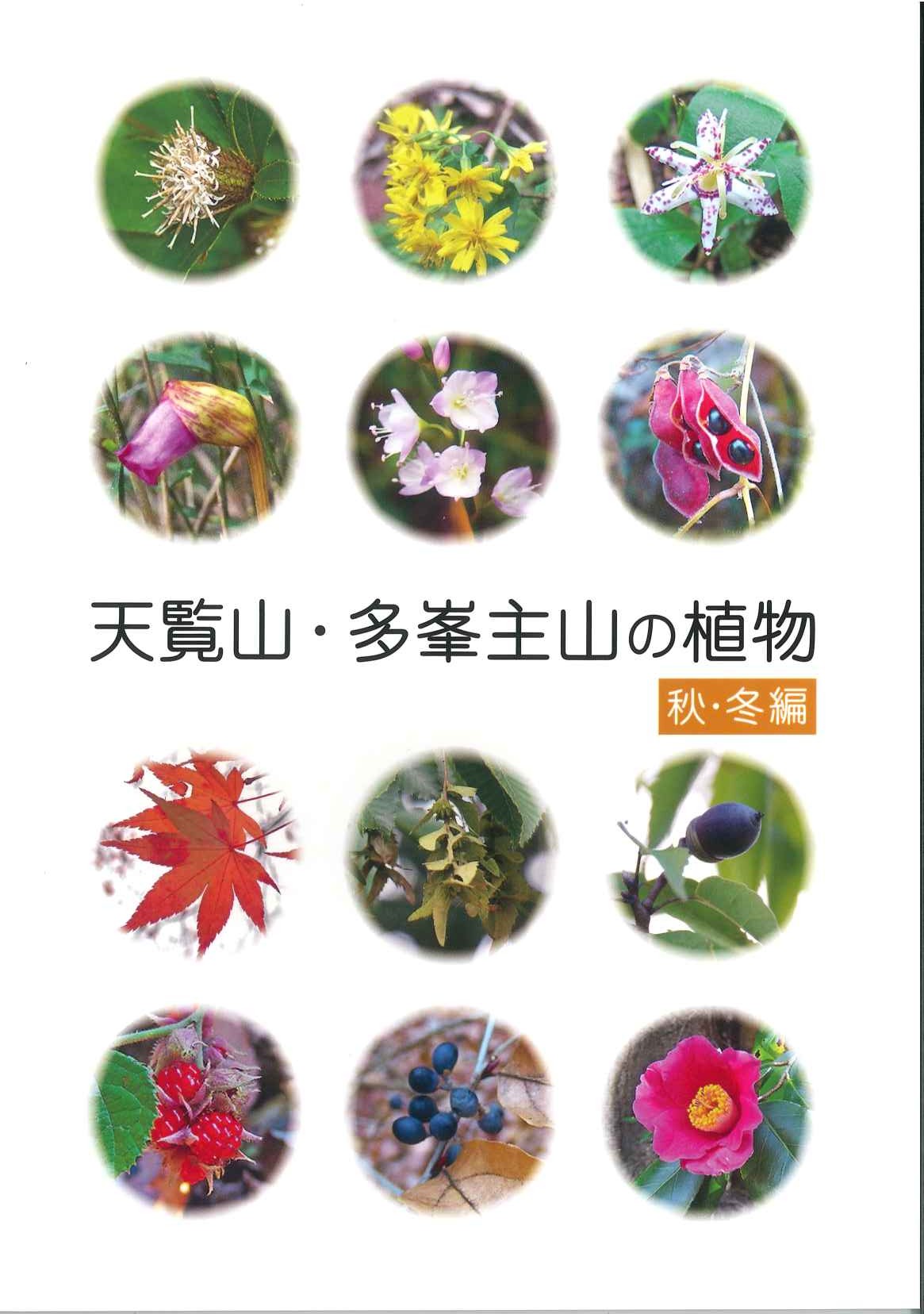 天覧山・多峯主山の植物秋・冬編の表紙の写真