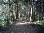 赤根ヶ峠コースの写真