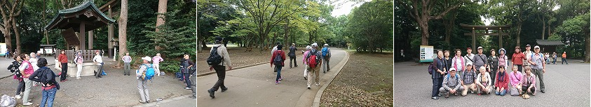 参加者たちが体操をしている様子の写真と、ゴールの渋谷駅まで歩いている様子の写真と、参加者たちの集合写真
