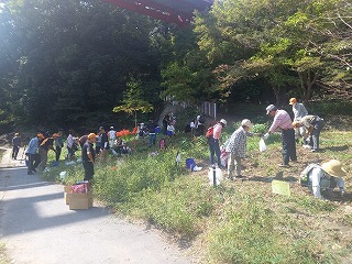 飯能河原・水仙植樹会