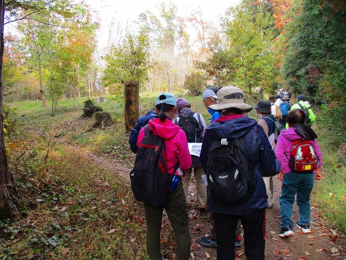 歩行ラリーに参加している方の写真 その2