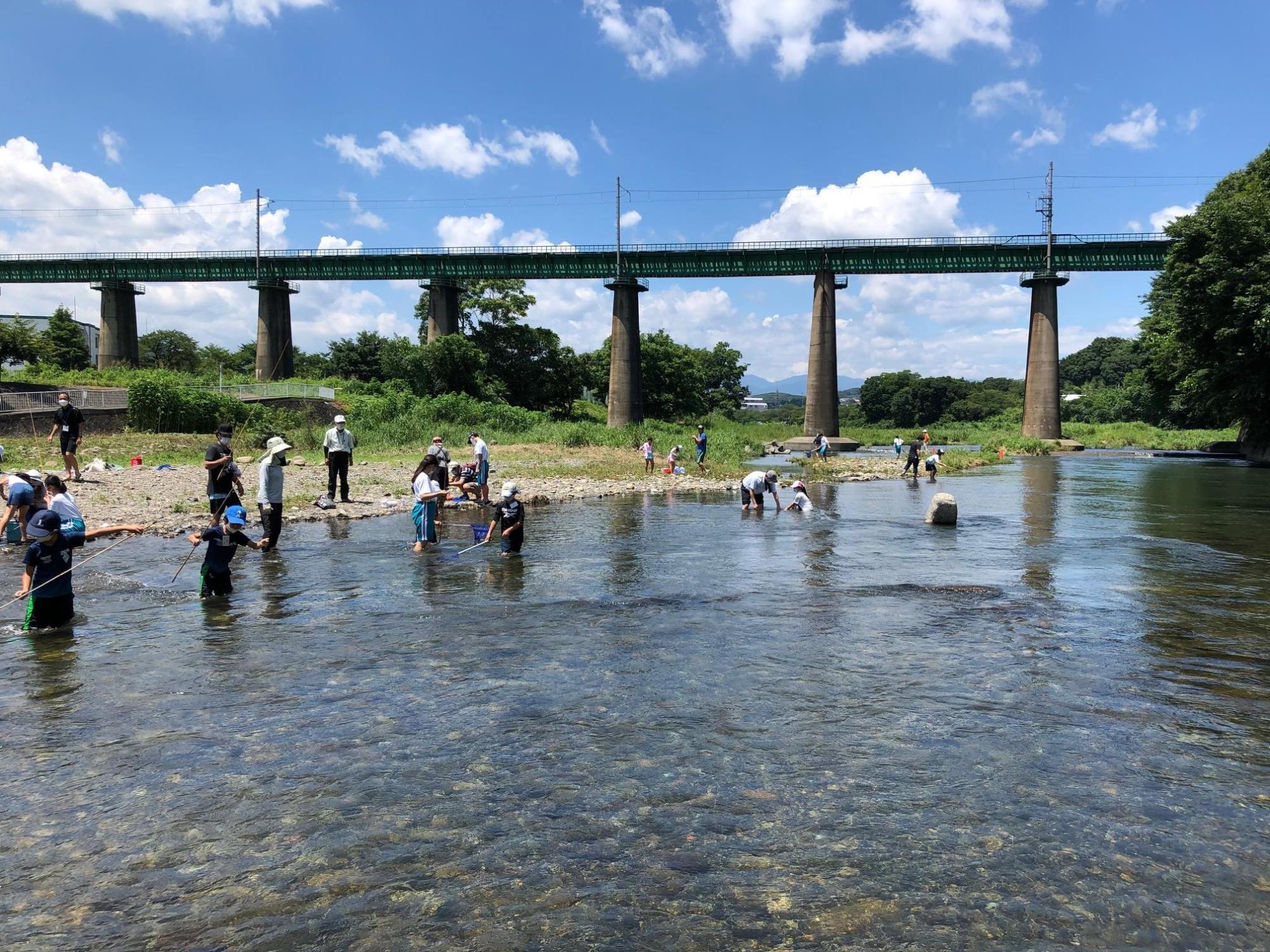 川に入り、竿や網を使って生き物を採取する参加者の写真