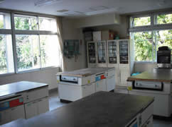 調理台が4台並ぶ大きな窓がある調理室の写真