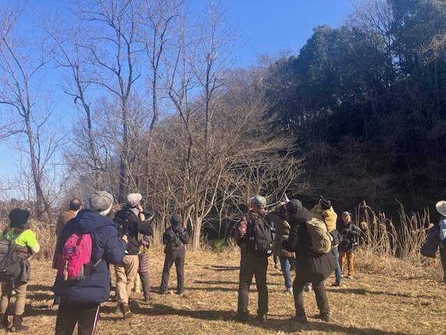 原っぱでどこどこと見上げ鳥を探す参加者の様子