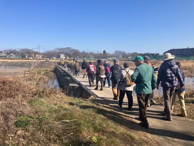 入間川にかかる流れ橋を渡り、次の観察場所へ向かう参加者の様子