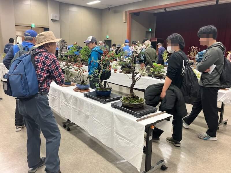 大きなホールに並べられたたくさんの盆栽を多くの人が観覧する様子