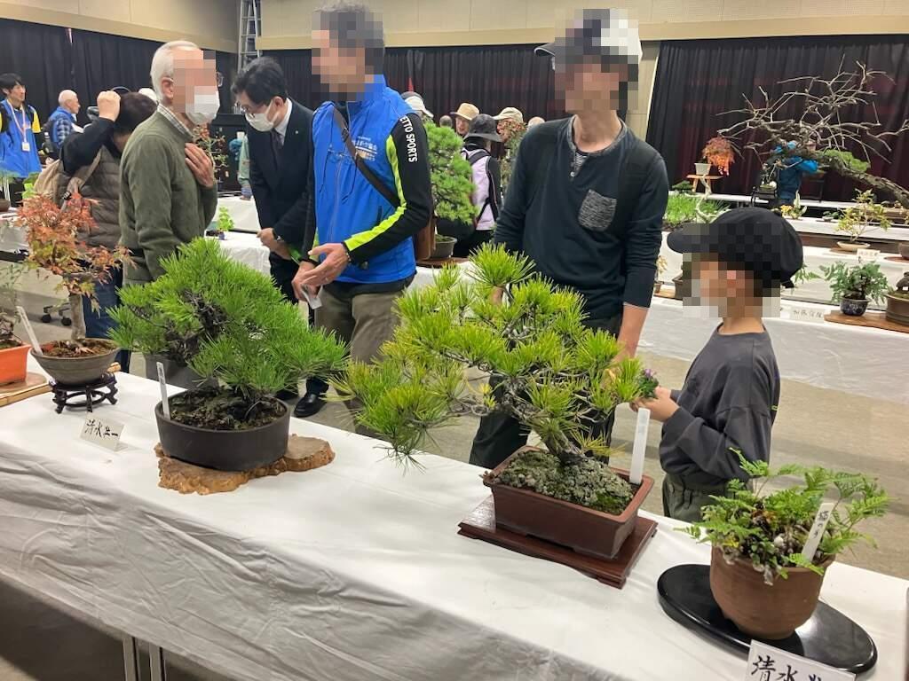 盆栽展を鑑賞する親子と説明する出展者の様子