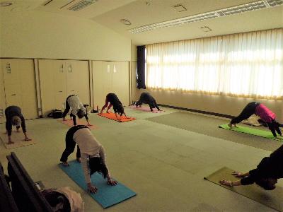 犬のポーズをする様子