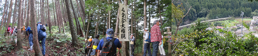 参加者たちが森林浴をしながら登山をしている様子の写真