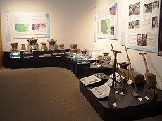 縄文土器や高麗郡に関する遺物などが展示されている写真