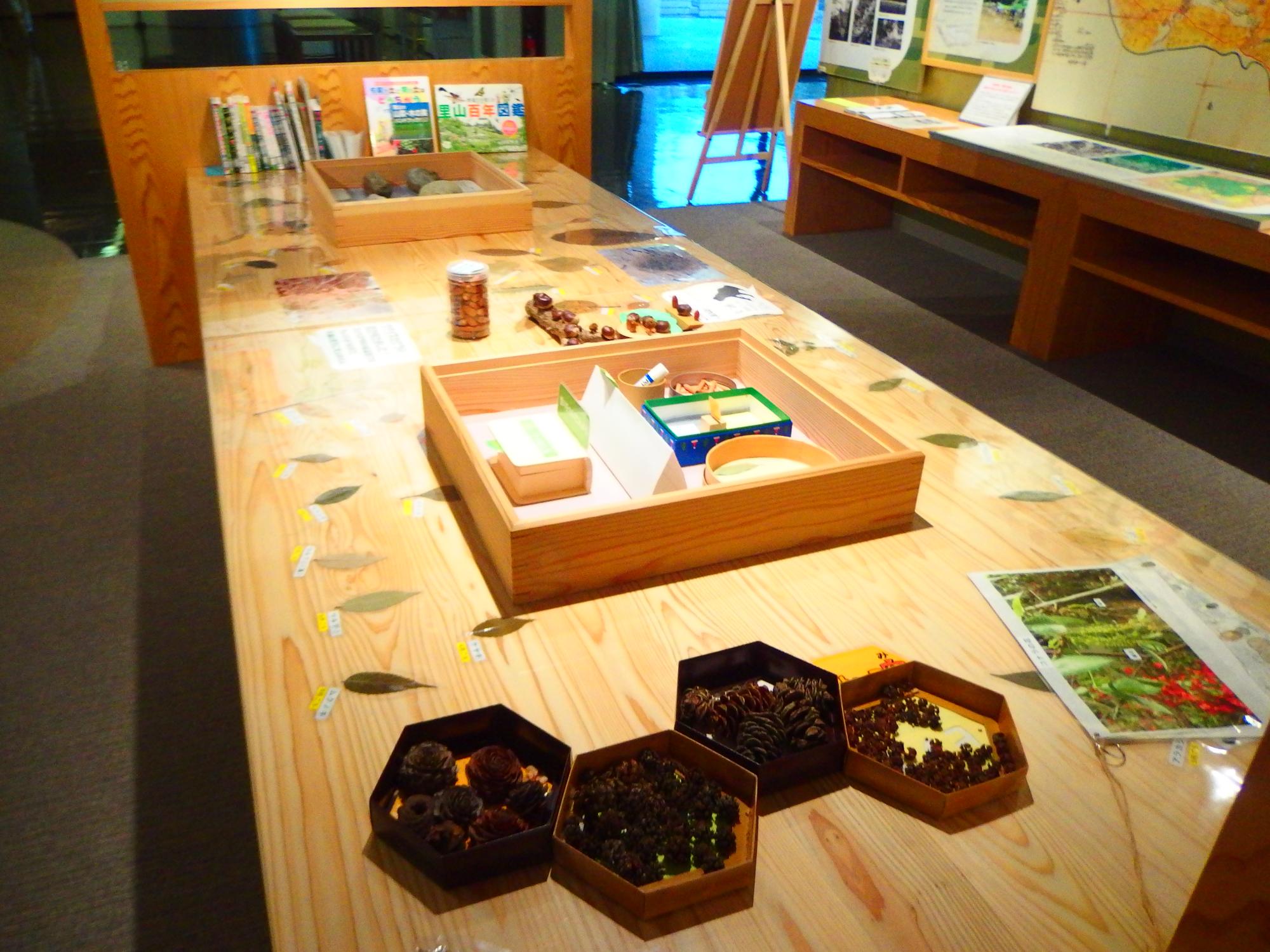 木製の大きな長テーブルの上に写真、葉の見本、松ぼっくり等が置かれている「体験・観察コーナー」の写真