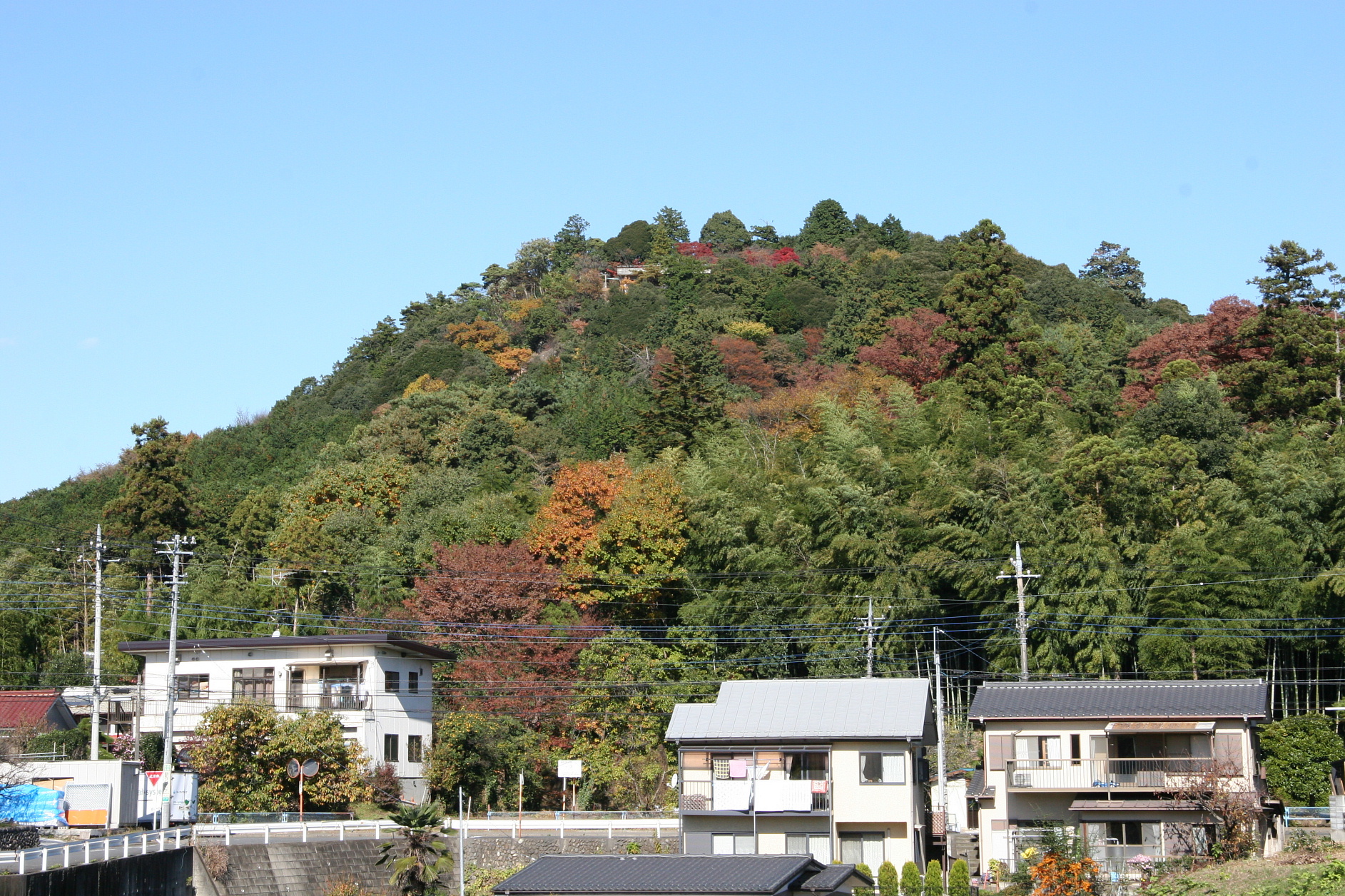 天覧山の写真