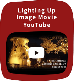 Lighting Up Image Movie
